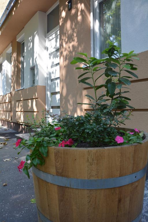 Bodza Apartmanok Eğri Dış mekan fotoğraf